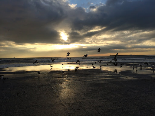 Not staying in Berlin - Porto and Lisbon