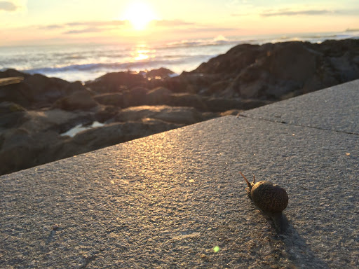 Not staying in Berlin - Porto and Lisbon