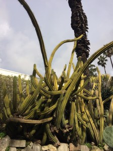 Not staying in Berlin - Porto and Lisbon