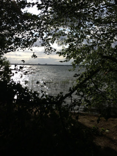 2016-05-142b17-45-04-1