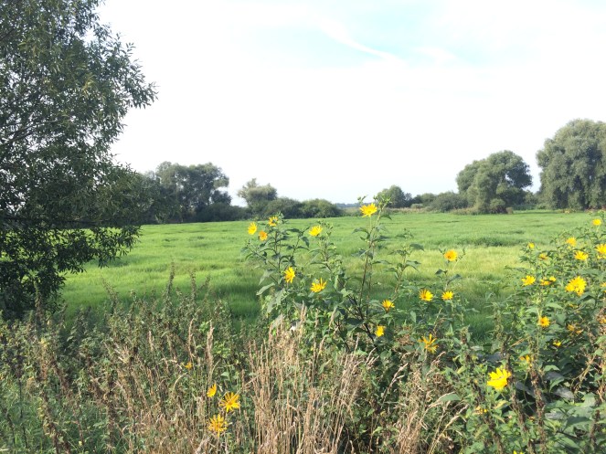 2016-09-03-09-26-25-1