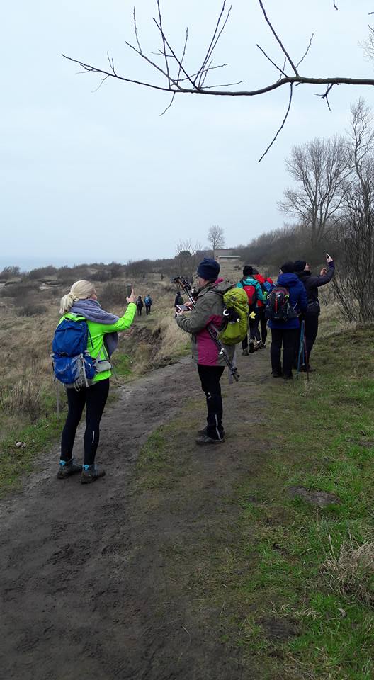 27867163_1889460037792601_4306503531458854658_n