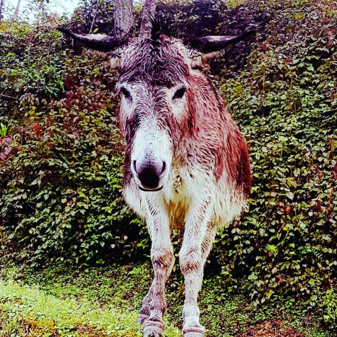 WhatsApp Image 2018-05-04 at 17.52.21