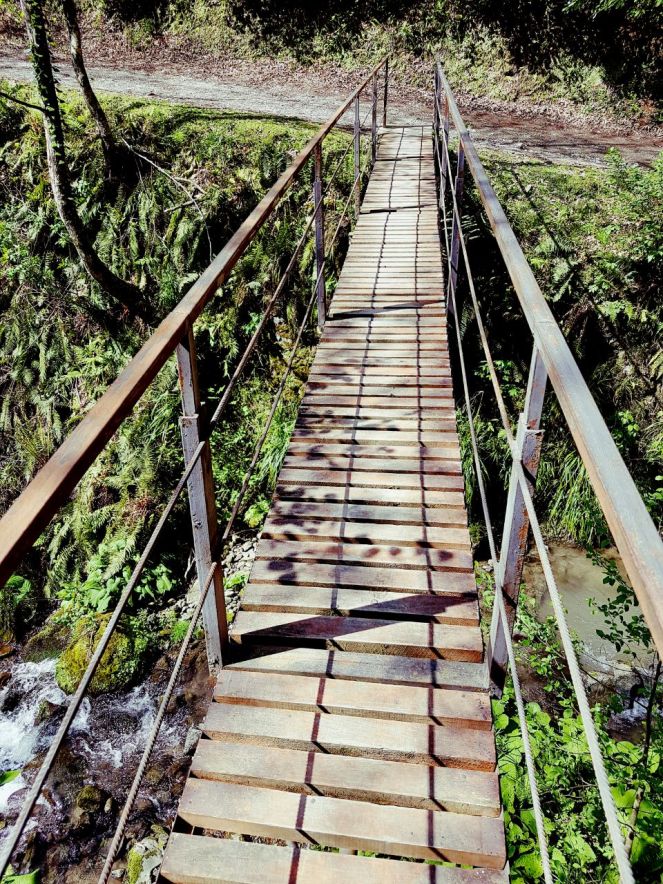 WhatsApp Image 2018-05-04 at 17.52.25.jpeg